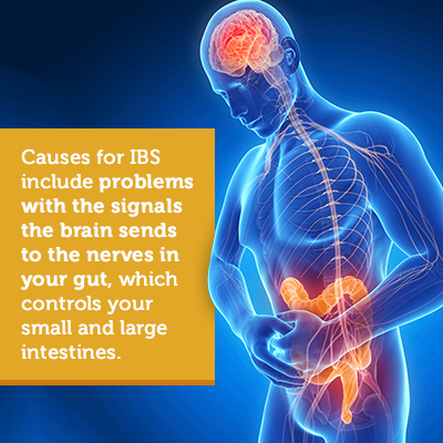 ibs-causes.jpg